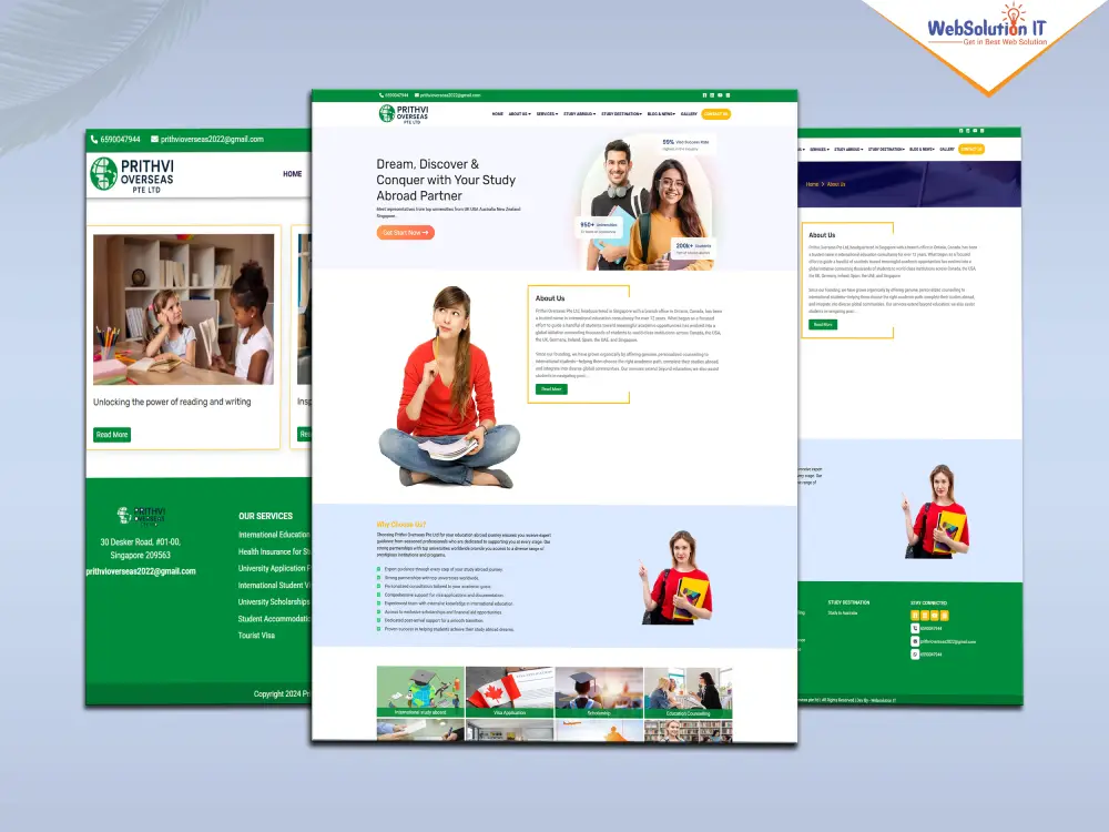 Prithvi Overseas PTE LTD Business Website